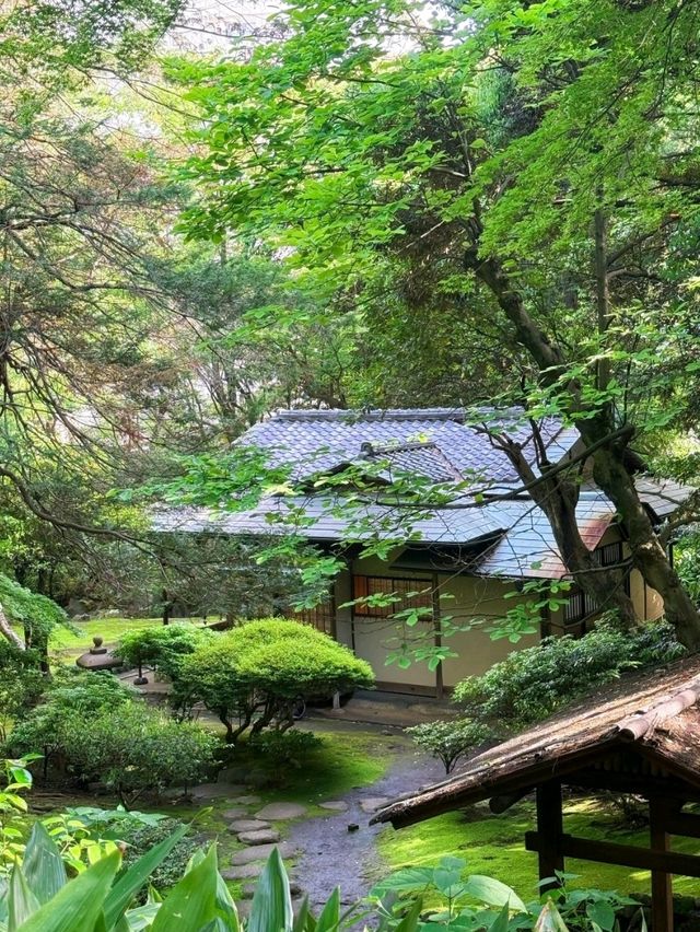 舊古河庭園交通攻略：輕鬆抵達日西融合庭園