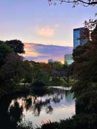 日本小石川後樂園攻略｜德川庭園與名剎 
