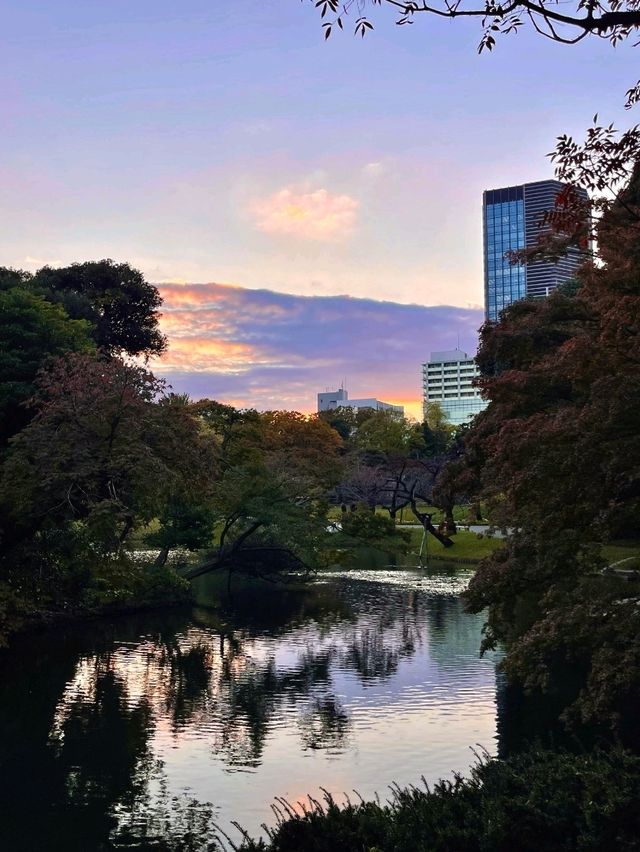 日本小石川後樂園攻略｜德川庭園與名剎 