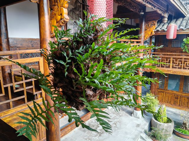 閬中屏江街·馬家院子 | 隱世美宅，奢雅新居