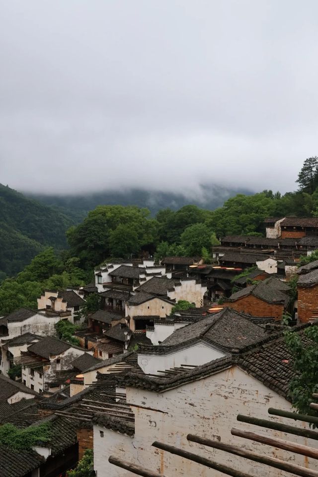 黃山江西9天8晚純乾貨分享