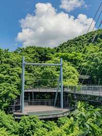 三亞避暑勝地——呀諾達