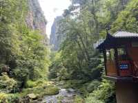 Magical 4 days in Zhangjiajie Park 