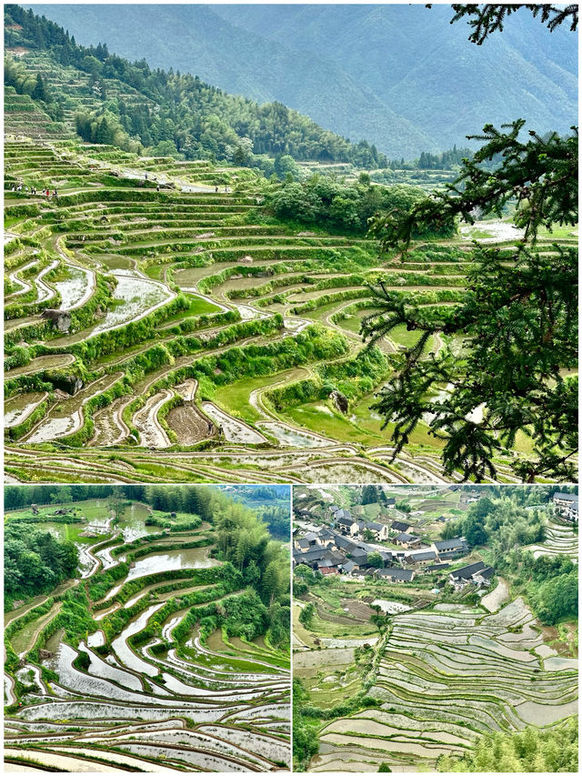 麗水受罪之旅已結束，要嚟嘅姊妹聽勸