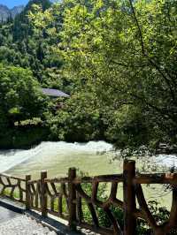 畢棚溝夏日仙境！雪山花海靚到窒息！
