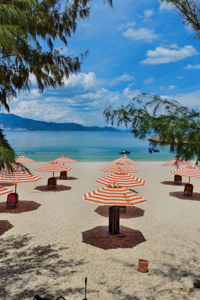 深圳獨家潮趣旅行指南，解鎖鵬城新玩法