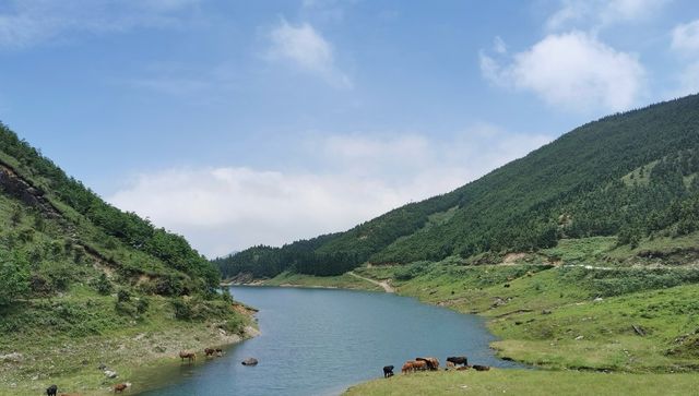 桂林山水甲天下|尋源之旅