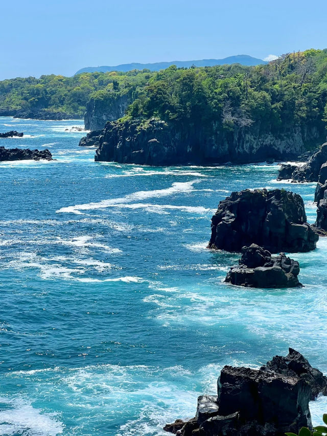 伊豆治癒之旅｜漫畫中嘅慵懶假期