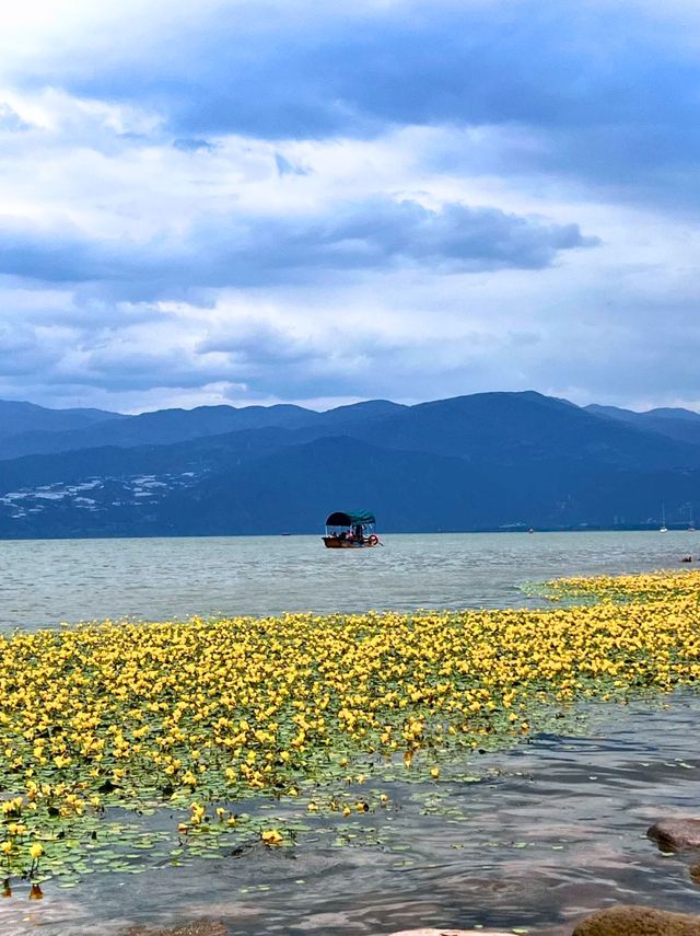 西昌，避暑過週末真係太舒服啦~