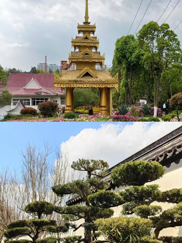 安寧已回，講啲大實話。
