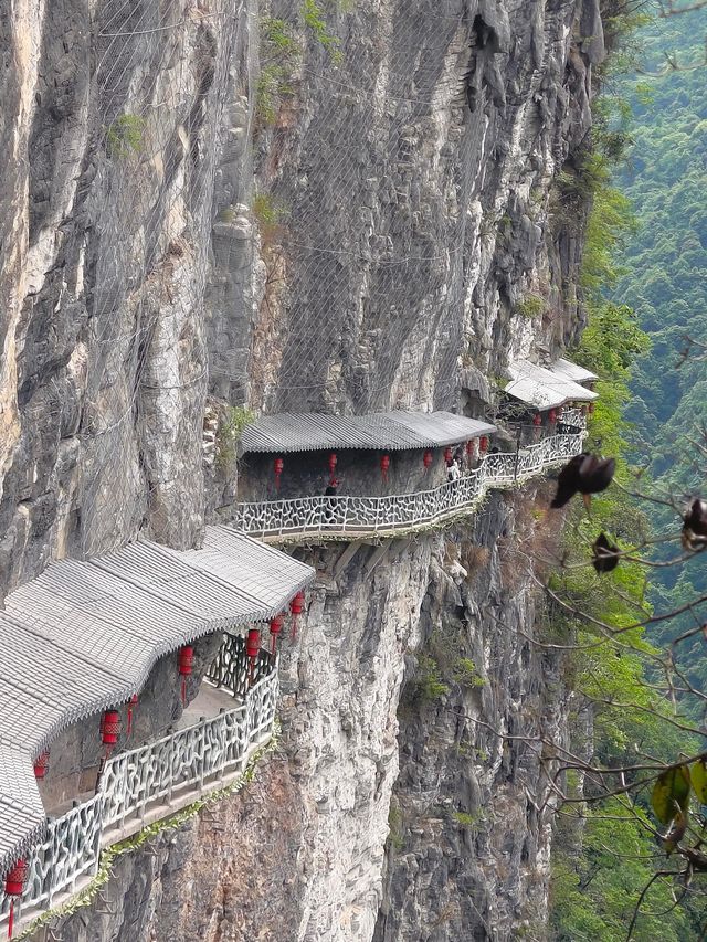 避開人潮闖入綠野仙蹤‖去峽谷深處聽山風講故事～