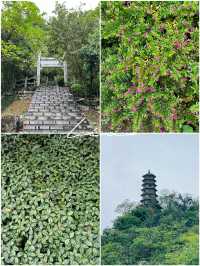 我相冊裏嘅100座城：11.柳州