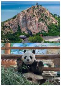威海周邊遊｜住三夢季玩遍4大景點！  被​​三夢季·海景花園度假酒店​​圈粉的，是它把「住進海裡」