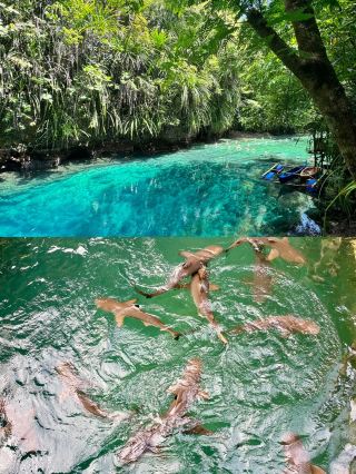 The Philippines' Treasure! Safe and Cost-Effective Davao Guide