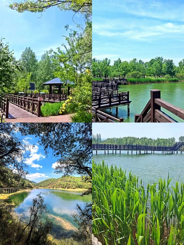 「昆明野鴨湖：都市旁的山水秘境與歡樂王國」