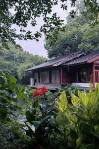 杭州西湖暴走2萬步總呢10個地方唔去=白行