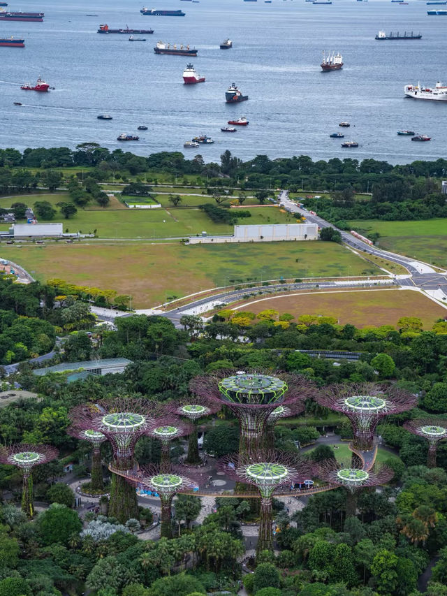 新加坡 | 兩大必去摩天樓免費觀景台