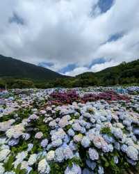 日月潭丨一眼就人間值得嘅美景