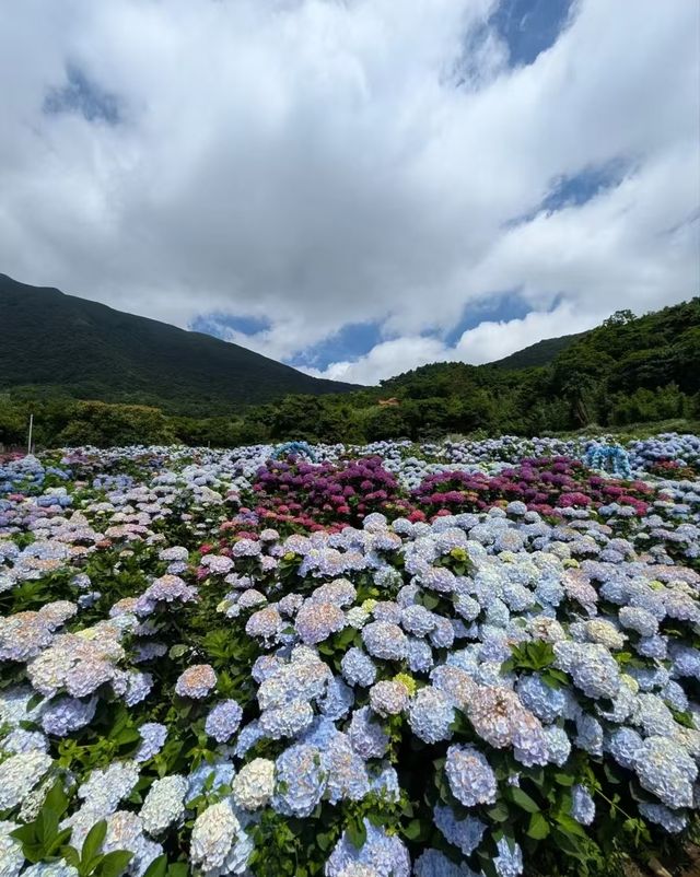 日月潭丨一眼就人間值得嘅美景
