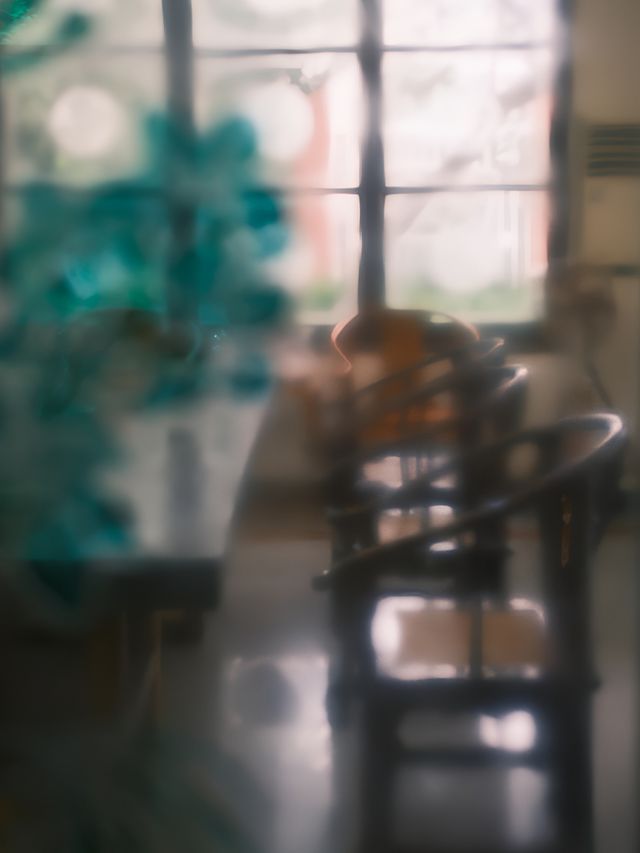 富士直出-闖入廣州蘭圃-靜謐園林美學