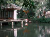富士直出-闖入廣州蘭圃-靜謐園林美學