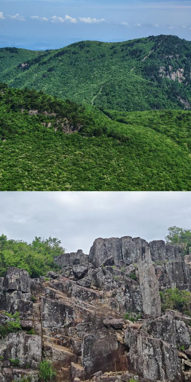 臨安千畝田，美到窒息的徒步寶藏地！