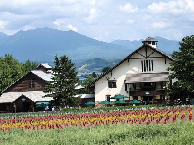 薰香滿滿富田農場