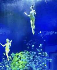 誤入海底三萬里 來場浪漫海底約會