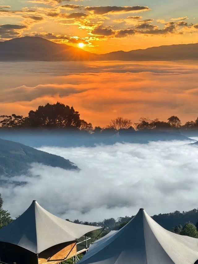 雲南普洱旅遊攻略