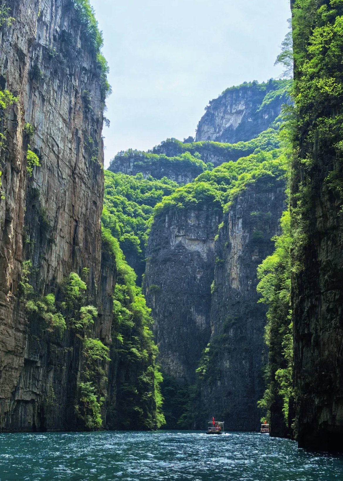 七曲がりの峡谷/Winding Canyons [WTH] 土地R（英）×4枚 EX]七曲がりの峡谷/Winding Canyons《英語》【WTH】