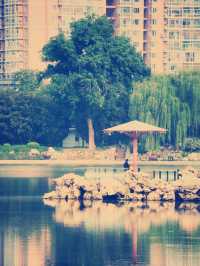 京城秘境｜紫竹院公園：鬧市中的禪意綠洲