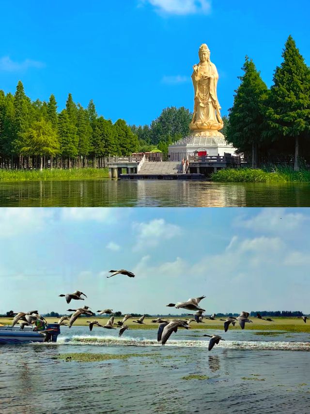 大縱湖位於江蘇省鹽城市鹽都區、泰州市興化兩地，地處里下河平原
