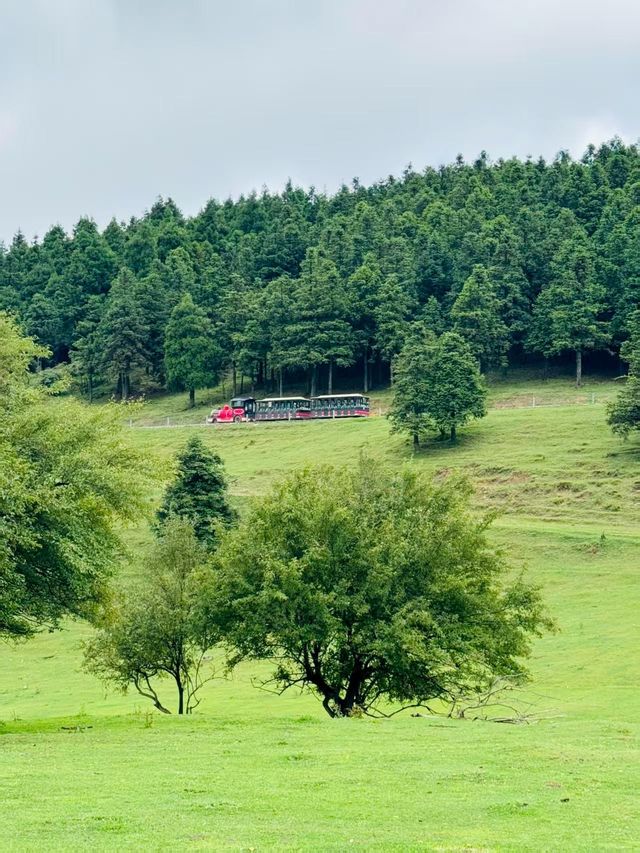 仙女山露營避暑指南——星空草原+天然冷氣，夏日逃離計劃！