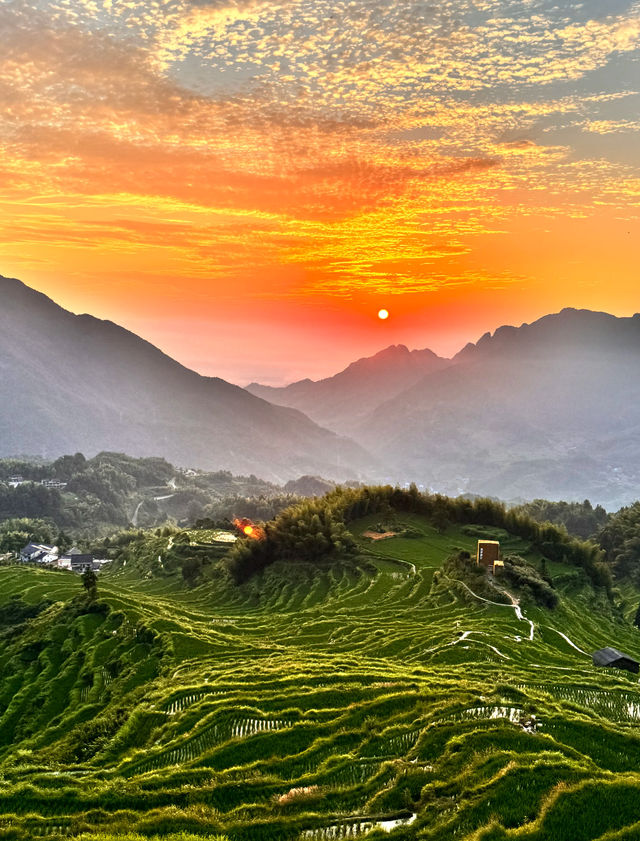 挖到寶了 麗水被低估嘅避世秘境 梯田古村+高鐵直達