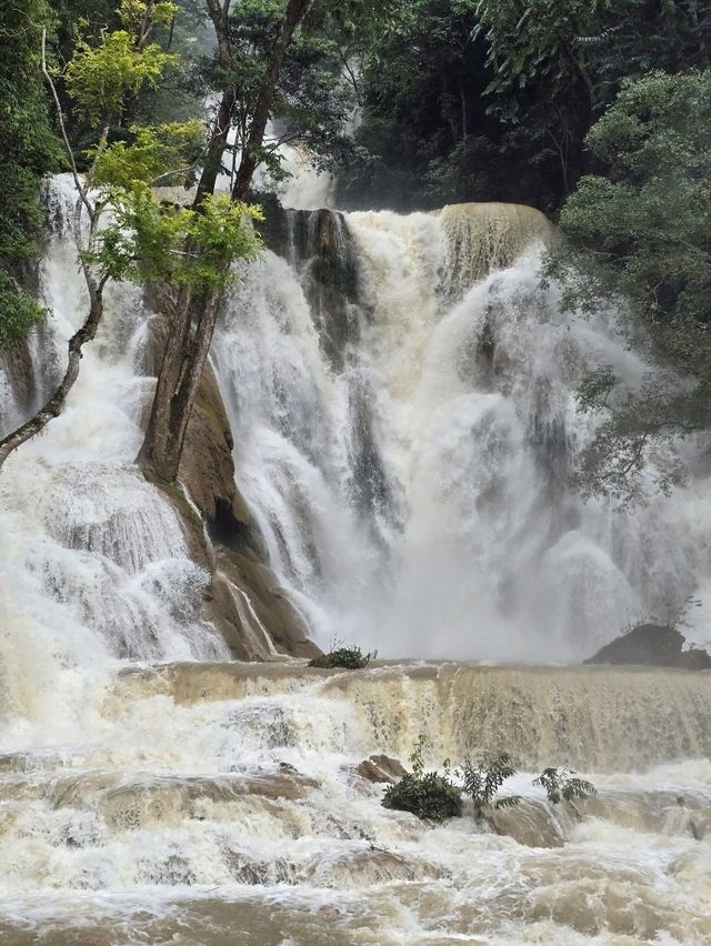 Kuang Si Waterfalls in the Rainy Season: Wild, Wet, Worth It