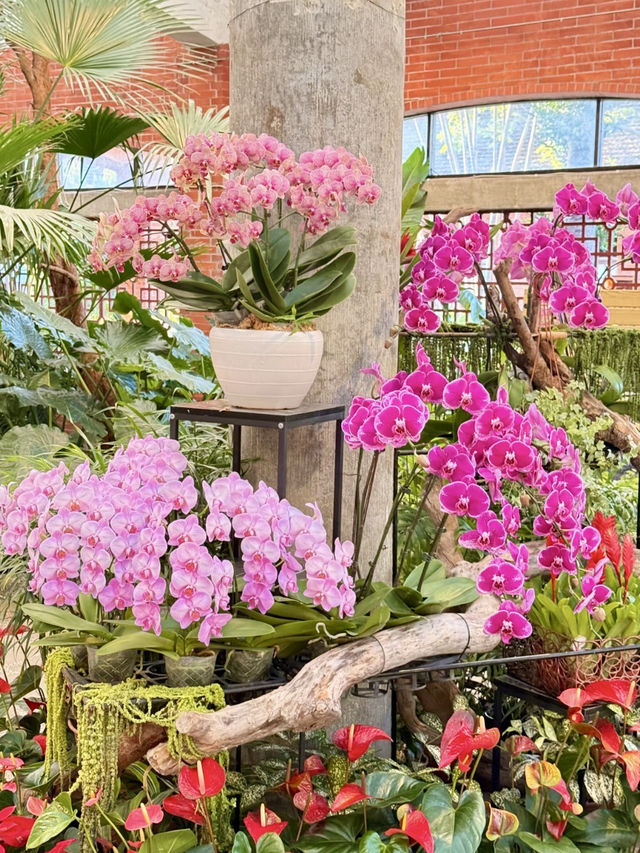城市裡的藍色奇幻