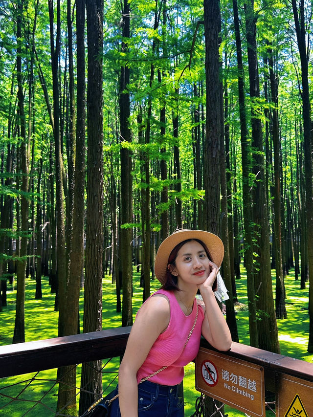 Shades of Matcha in Hangzhou 🍵 🪴 