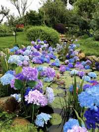 暑假親子遊|彌勒太平湖森林公園(附攻略)