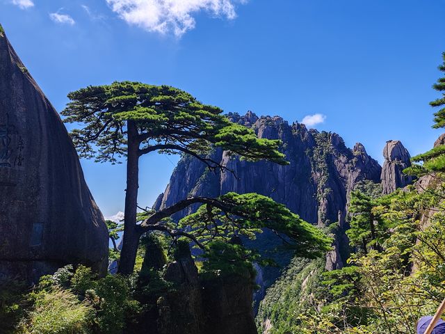 不費力黃山一日遊