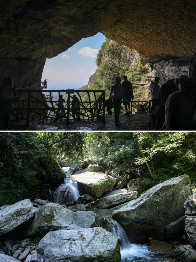 重慶金佛山 打卡18℃的夏天