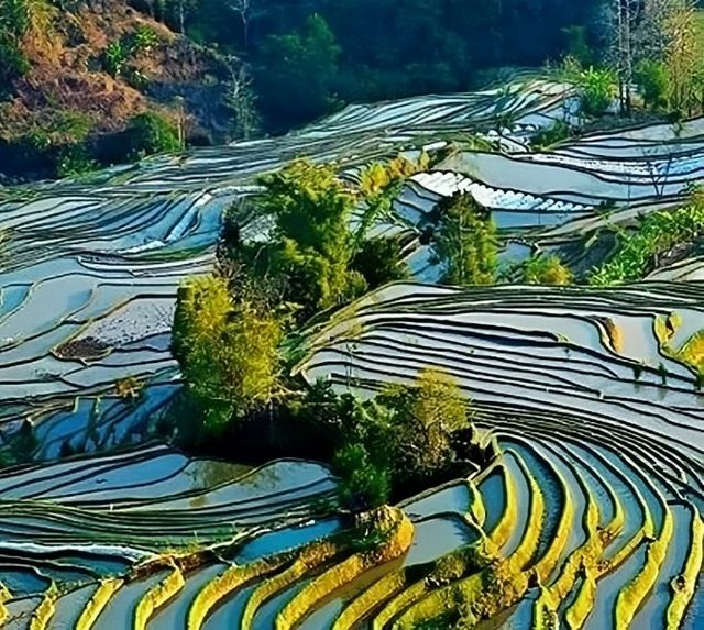 元陽梯田5天4晚旅行攻略，預算5000元，放心玩，放心嗨！