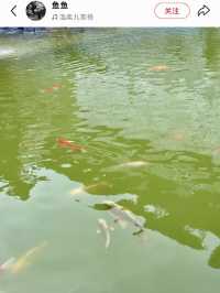黑潭幽語——榆陽區黑龍潭景區
