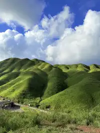 寧德柘榮鴛鴦草場。