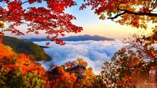 Benxi Wunv Mountain Stunning Autumn｜Sea of Clouds, Maple Leaves + Ancient City Photo Guide