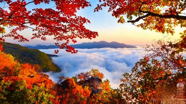本溪五女山絕美秋日|雲海楓葉+千年古城拍照攻略 本溪五女山絕美秋日|雲海楓葉+千年古城拍照攻略