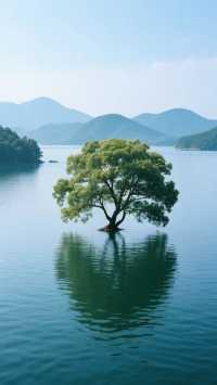 廬山西海丨晨霧起時，舟行畫中，恍如桃源丨中國最美湖光山色之一