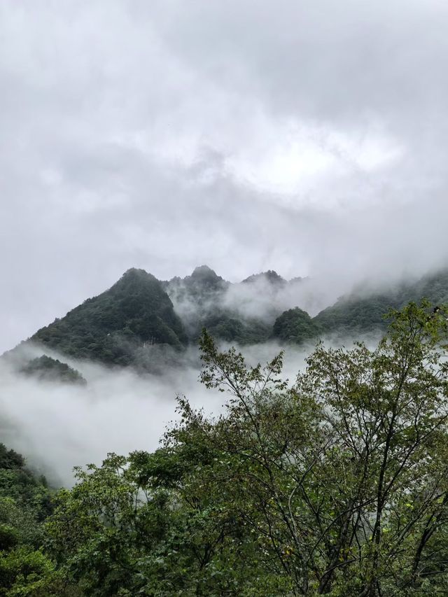 神農架雲海仙境指南