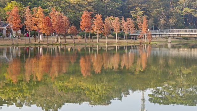 花開時節最浪漫東莞植物園