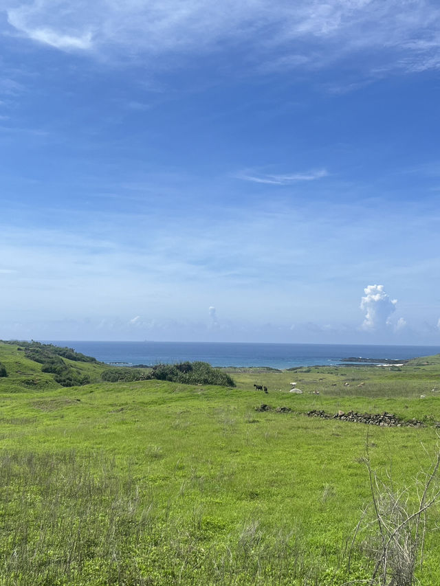 🌿 Dongji Island: Where Emerald Meadows Meet Endless Azure Skies! ☁️