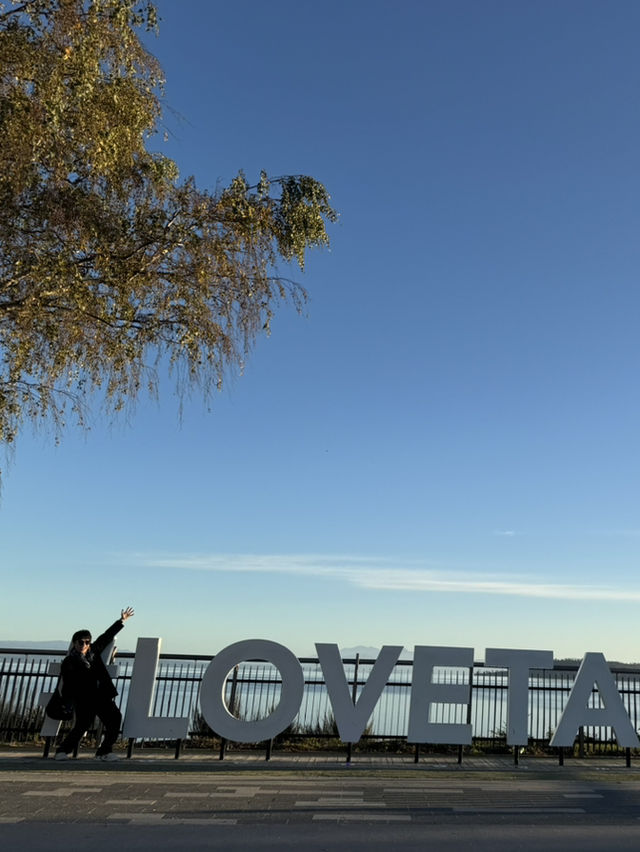 🏔️ TAUPO'S ICONIC DUO: Lakefront Landmarks & Championship Fairways!
